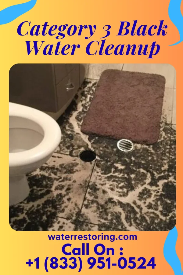 Category 3 Black Water Cleanup in Schlater, MS