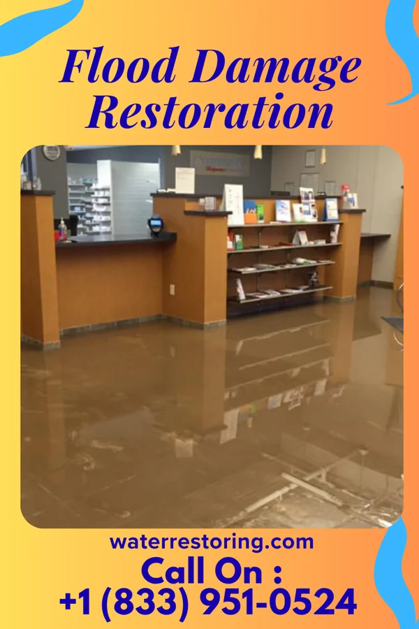 Flood Damage Restoration in Schlater, MS