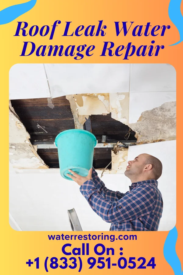 Roof Leak Water Damage Repair in Schlater, MS