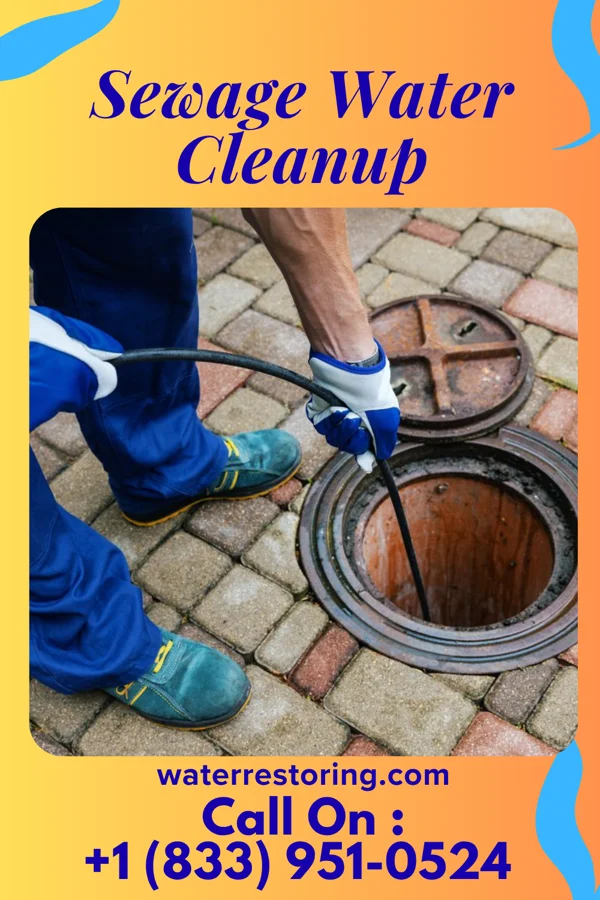 Sewage Water Cleanup in Schlater, MS
