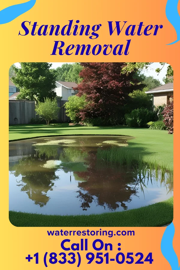 Standing Water Removal in Schlater, MS